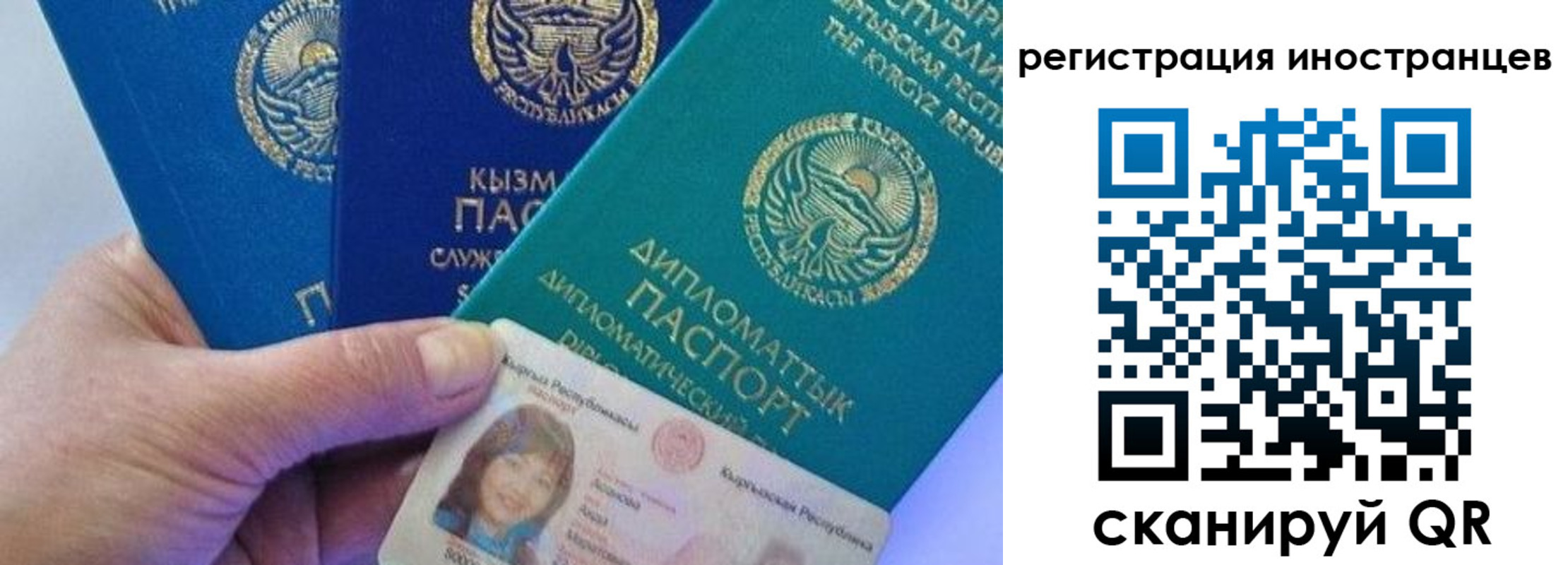 прописка в Камешково